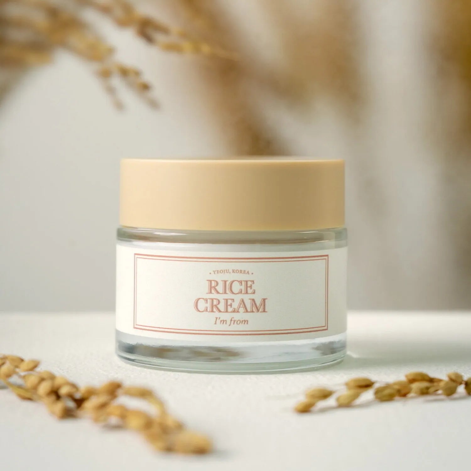 Rice Cream