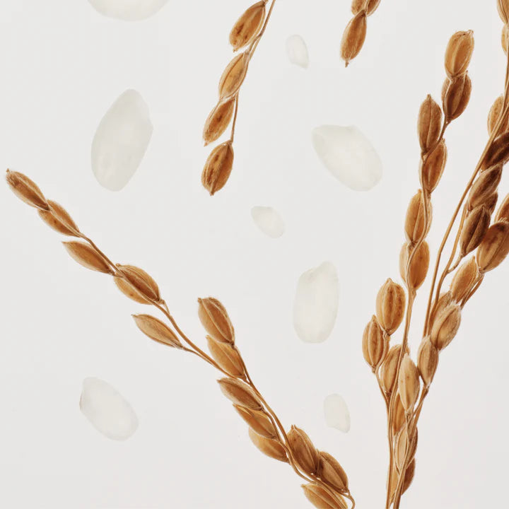 Glow Replenishing Rice Milk Toner