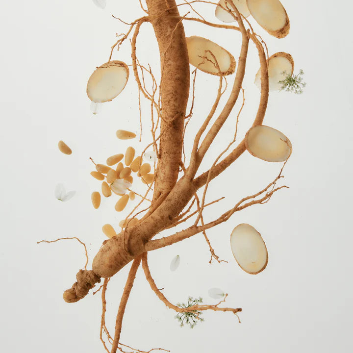 Ginseng Cleansing Oil