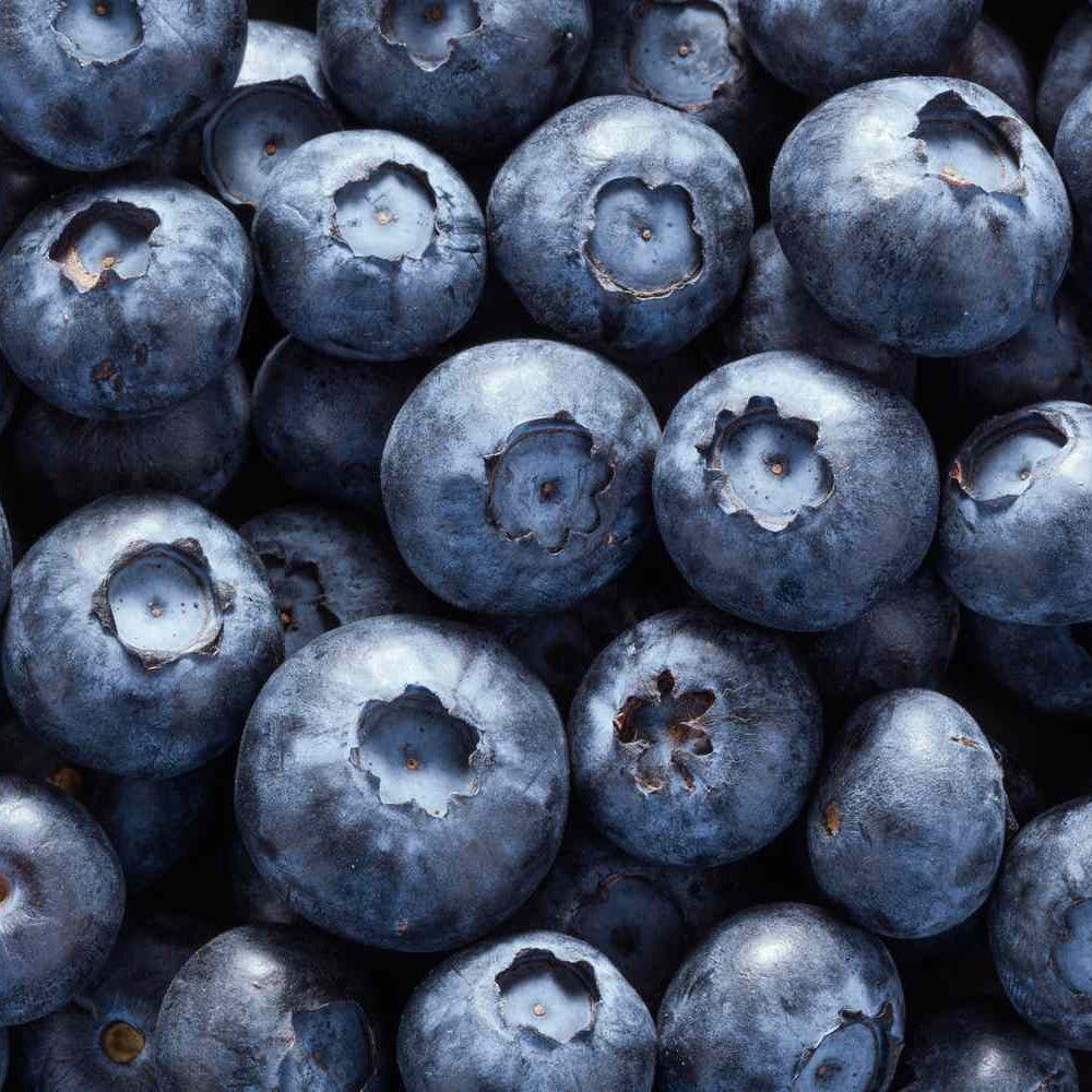 BLUEBERRY REBALANCING 5.5 CLEANSER