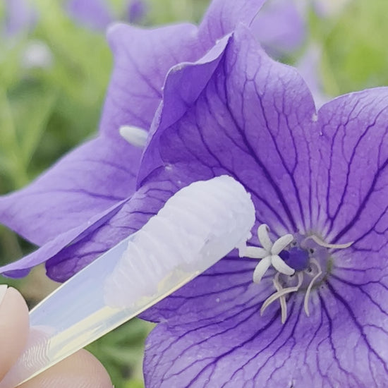 Bellflower Cleansing Balm